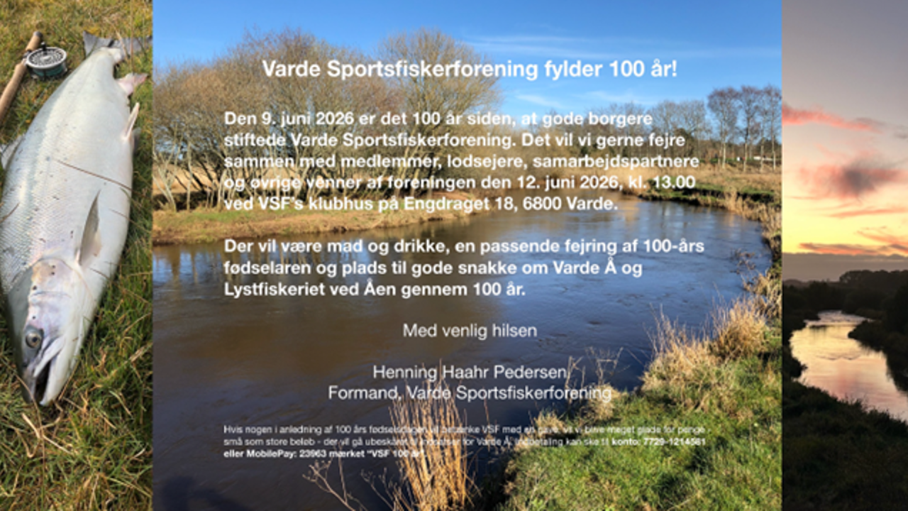 VSF Fylder 100 År Billede