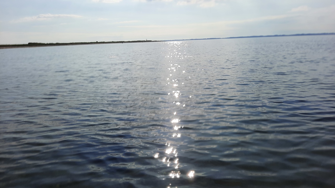 Thurø Juni 2023 (1)