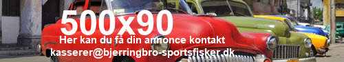 bjerringbro-sportsfisker.dk