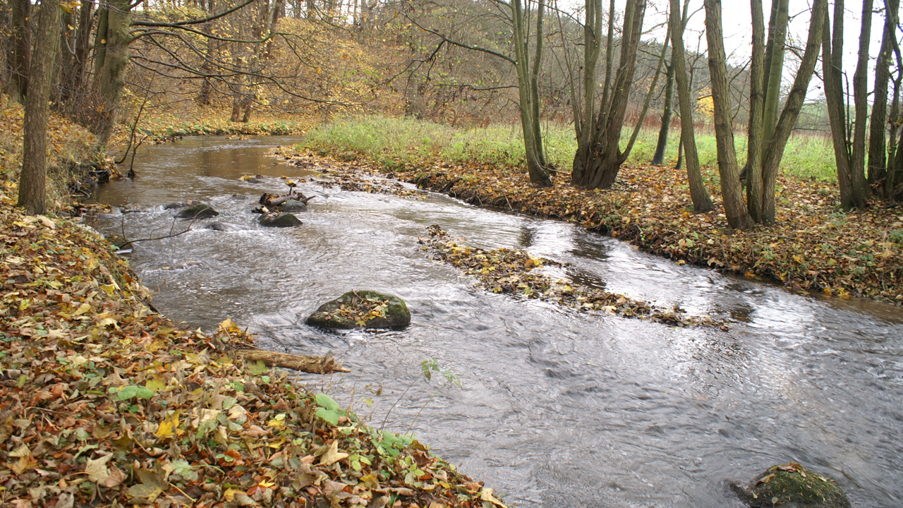 PICT4737.JPG