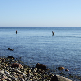 DSCF3841.JPG