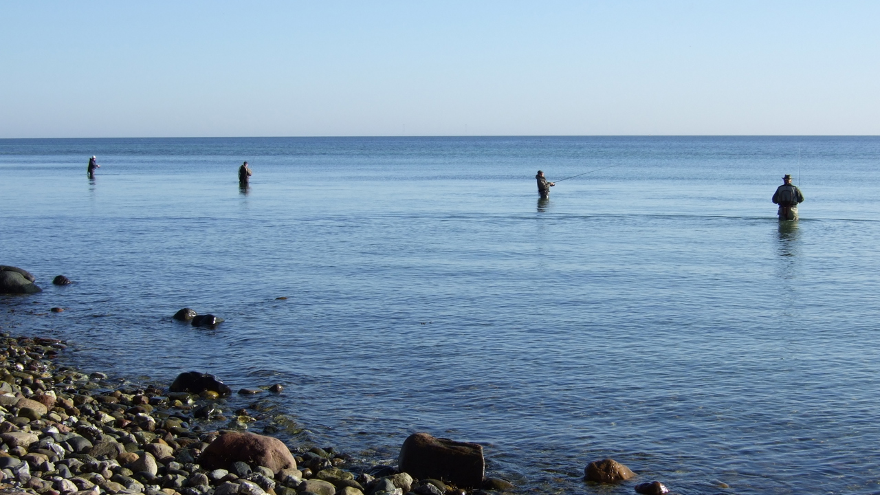 DSCF3841.JPG