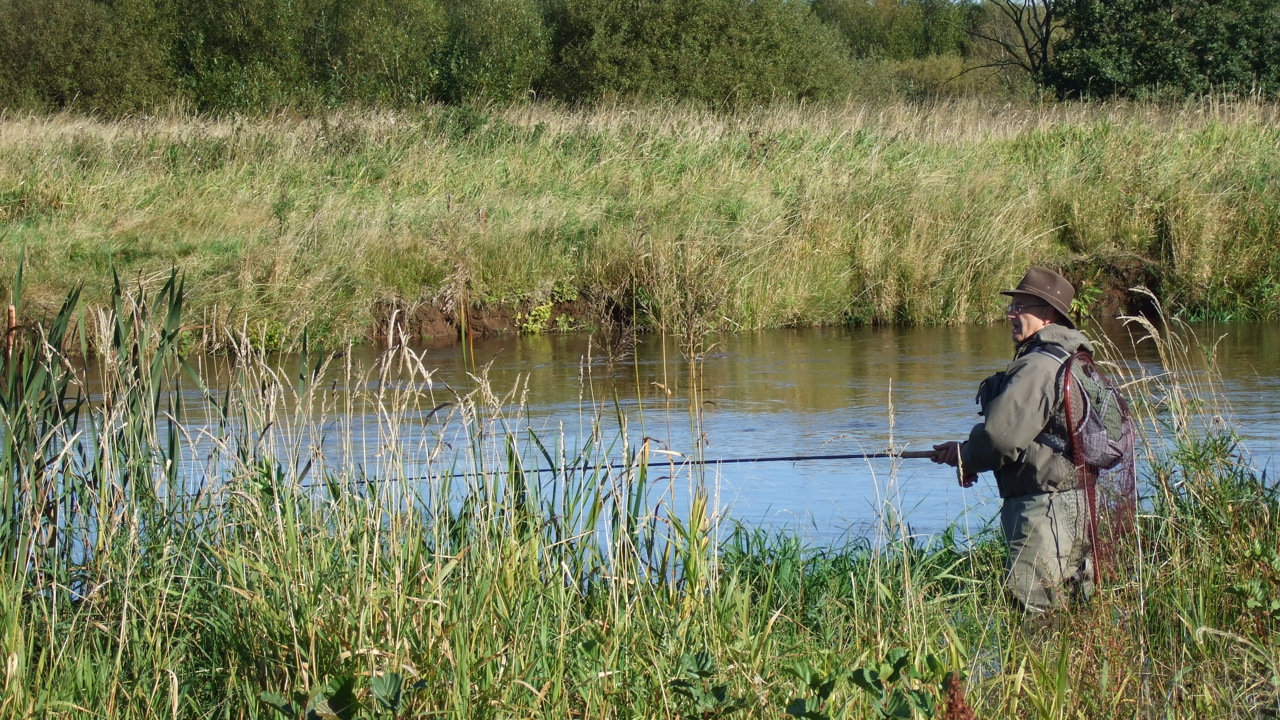 DSCF4233.JPG