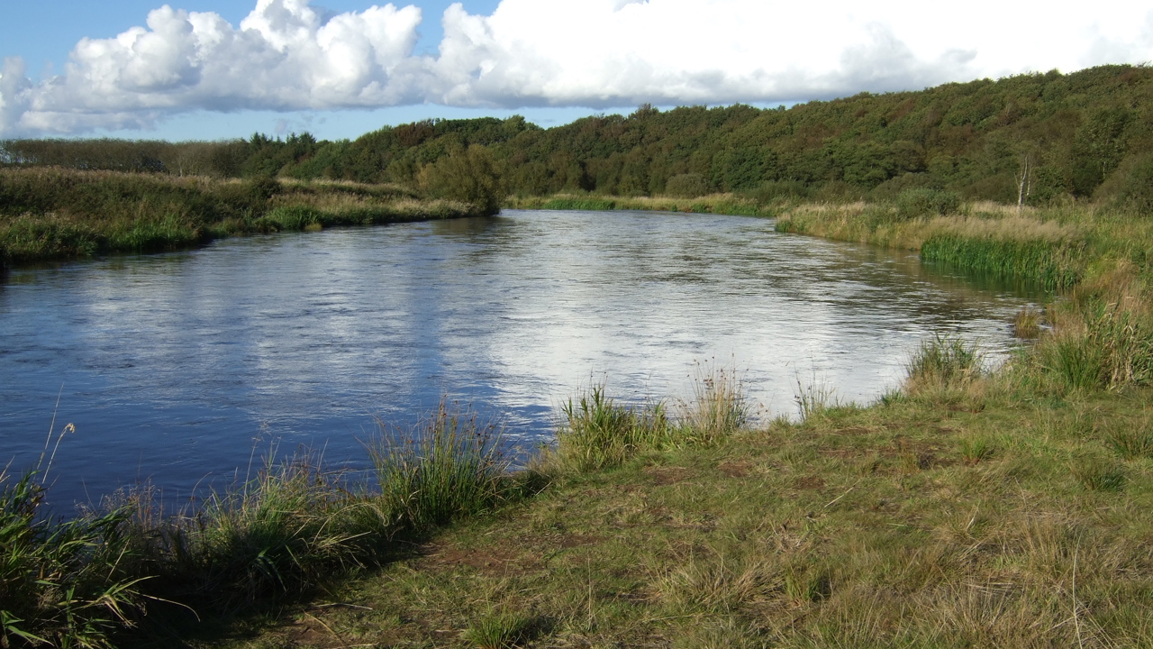 DSCF4253.JPG