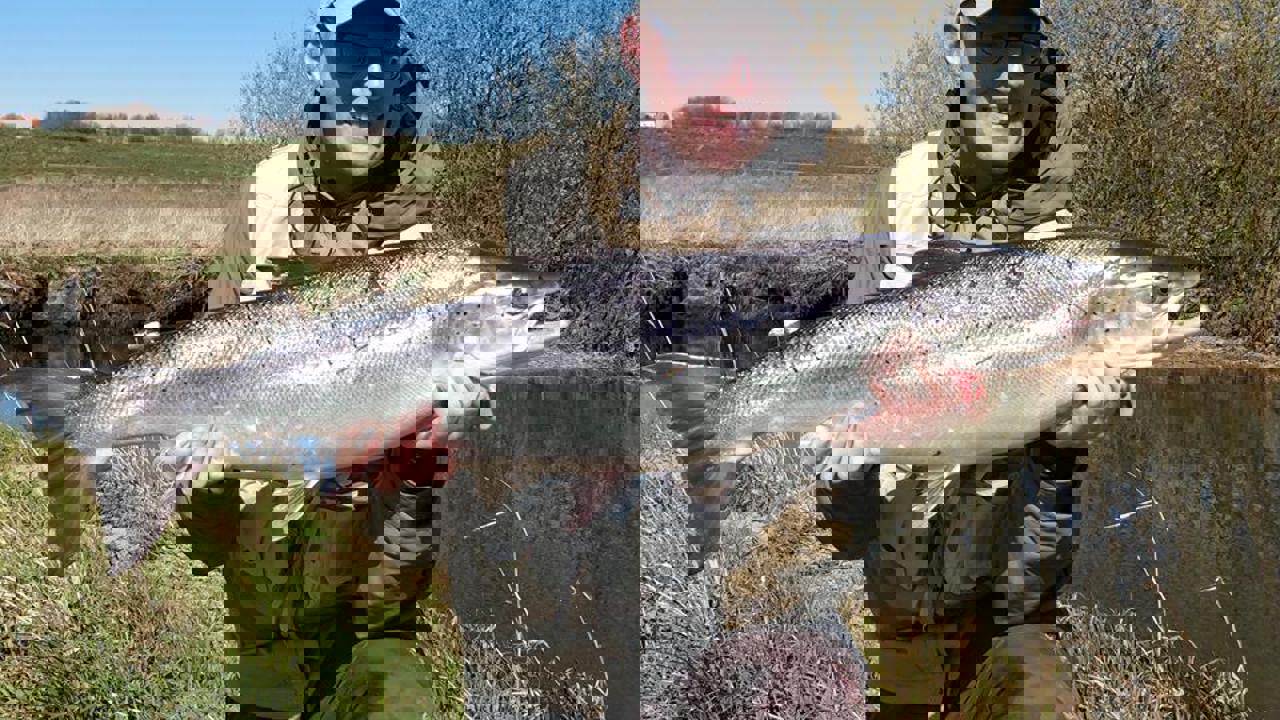 57936033 1169312509914227 2851497975442571264 N