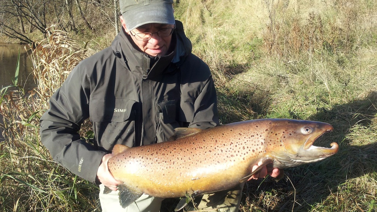 20121103103236-ck.jpg