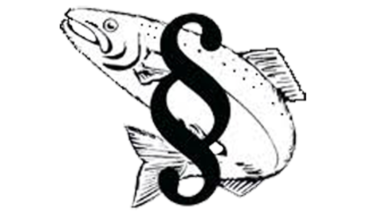 paragraflaks u bagr 1280-720.jpg