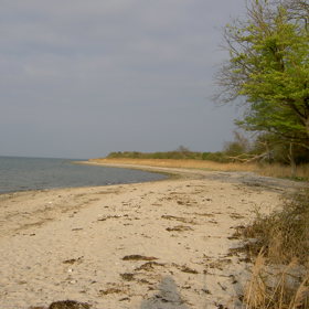 PICT2128.JPG