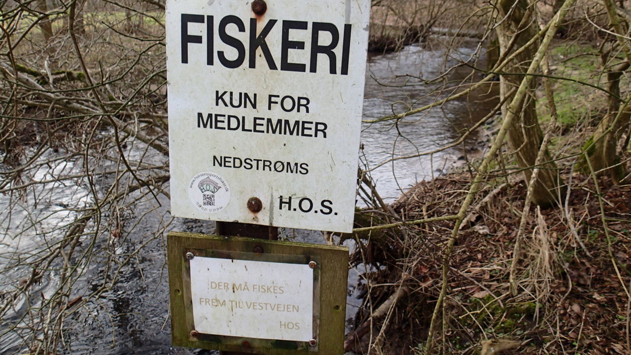 P2231422.JPG