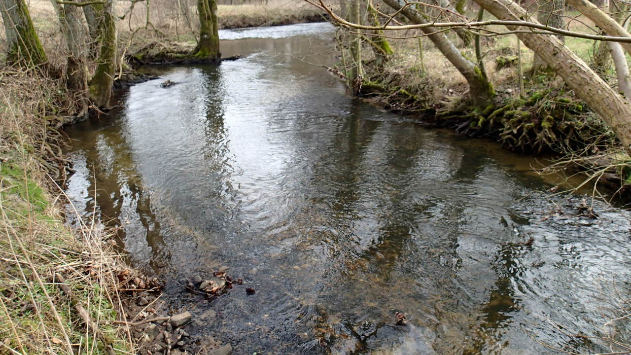P2231423.JPG