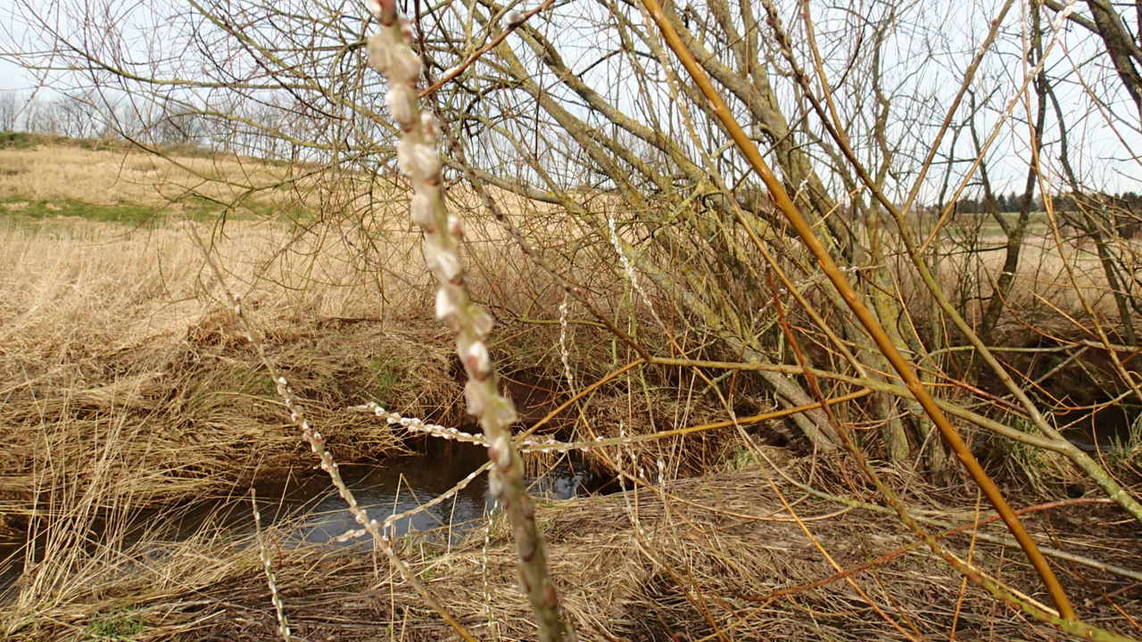 P2231431.JPG