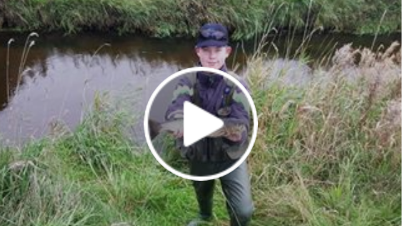 Screenshot_2019-02-27 Holstebro Og Omegns Fiskeriforening - Om laks i Storåen .png