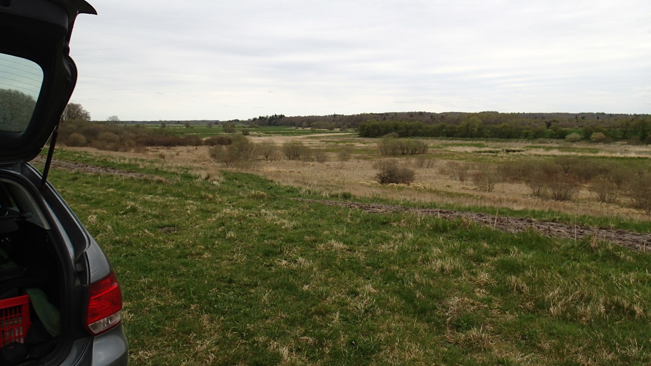 P4240024.JPG (1)