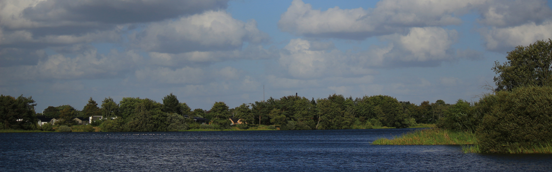 grindsted engsø 140812.jpg