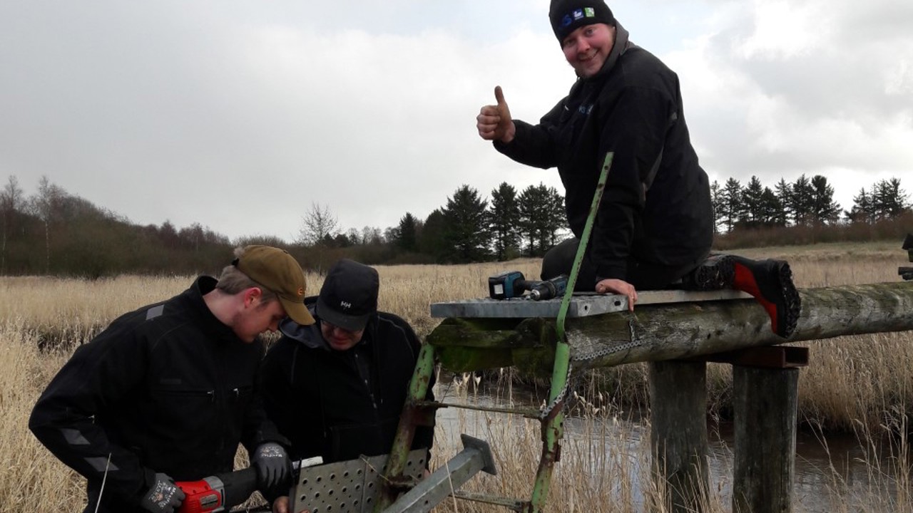 Ikke-navngivet vedhæftet fil 00052.jpg