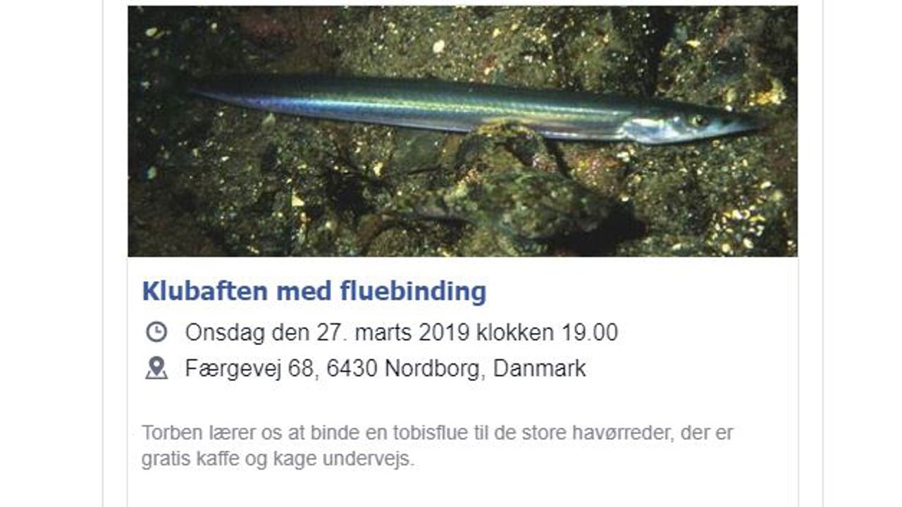 Fluebinding 1.JPG
