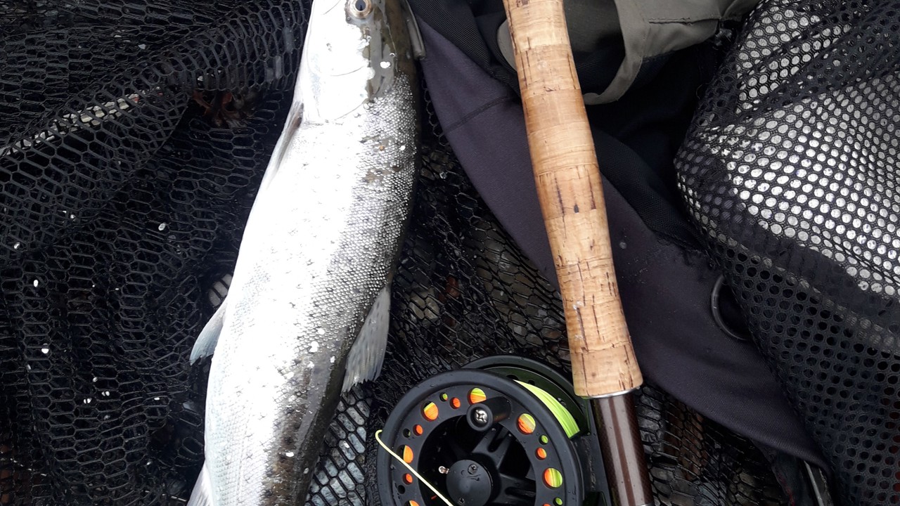 20190327_095140.jpg