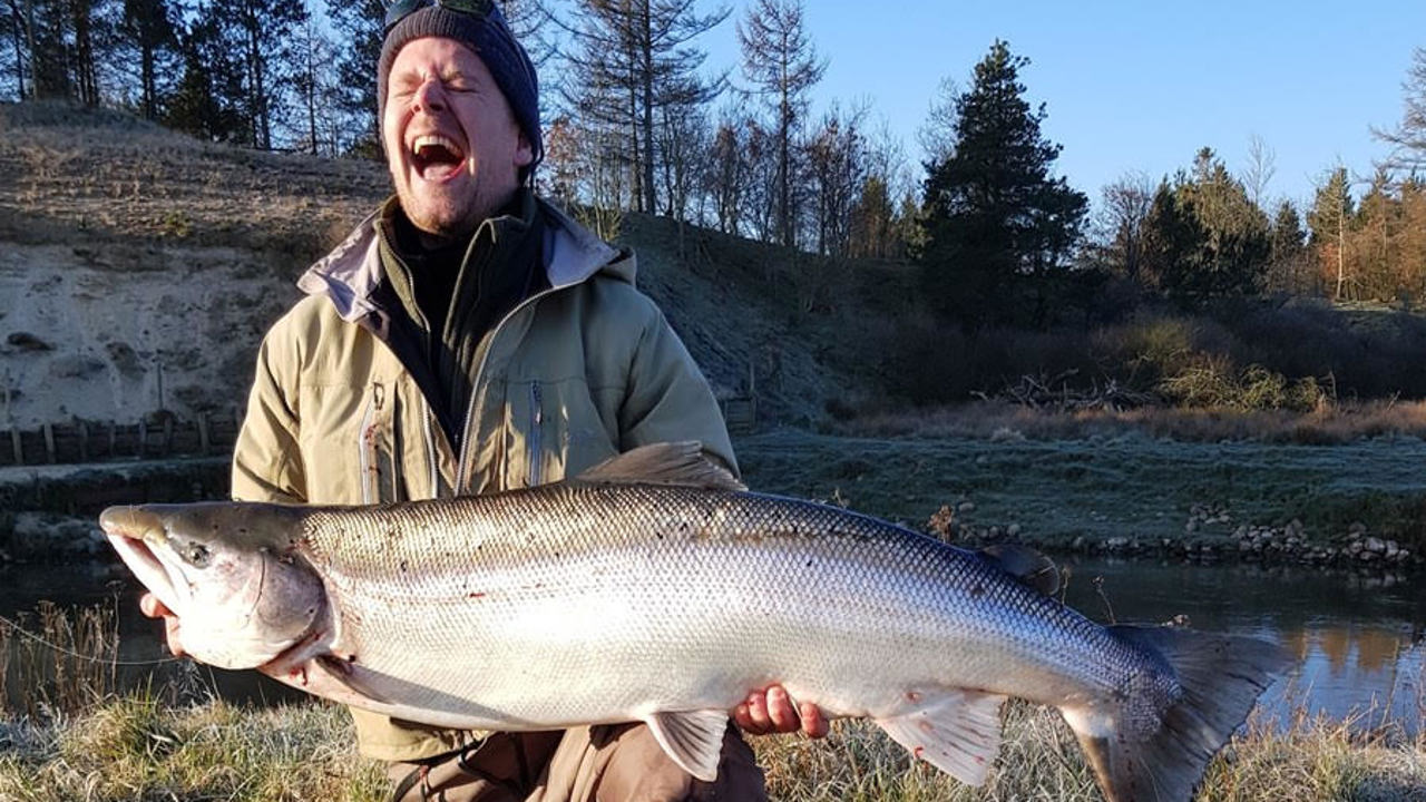 Frederik Iversen 2019.jpeg