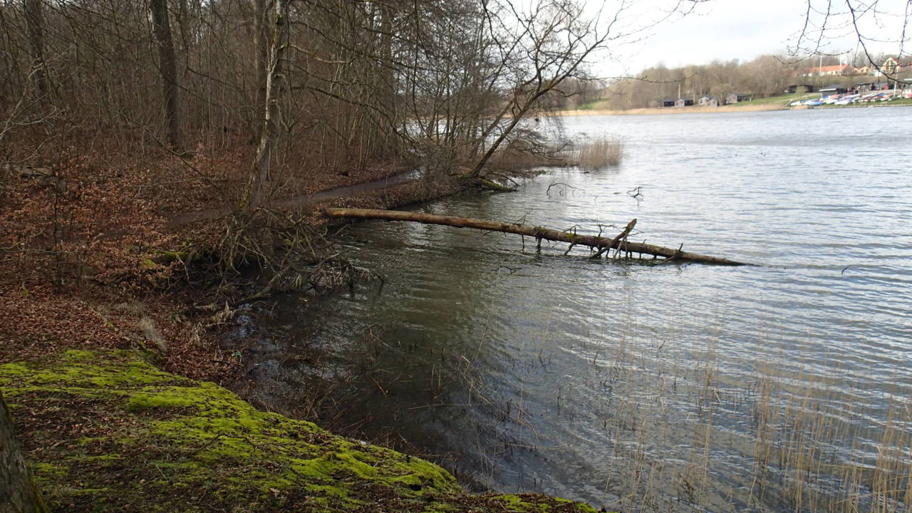 P3171502.JPG