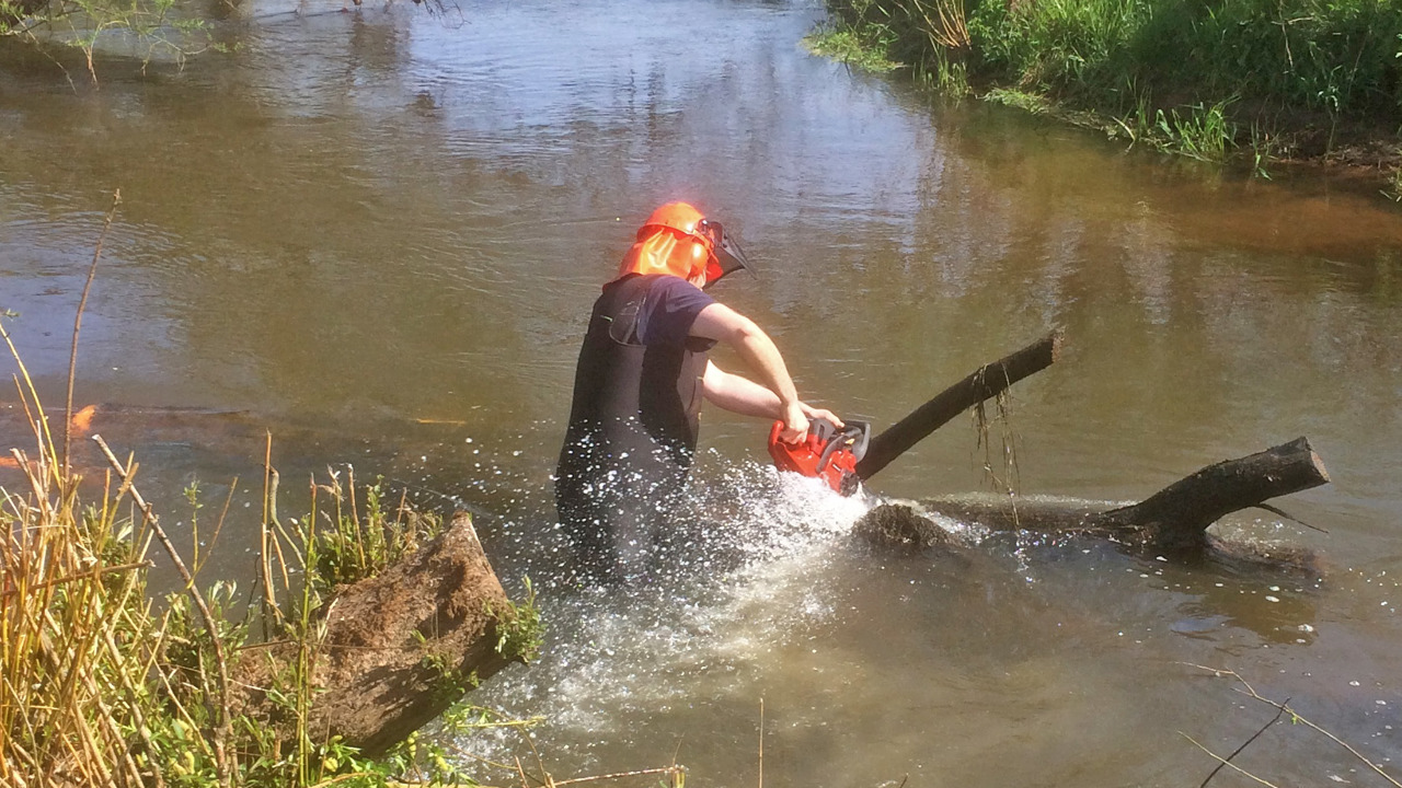 omme 20190505 02.JPG