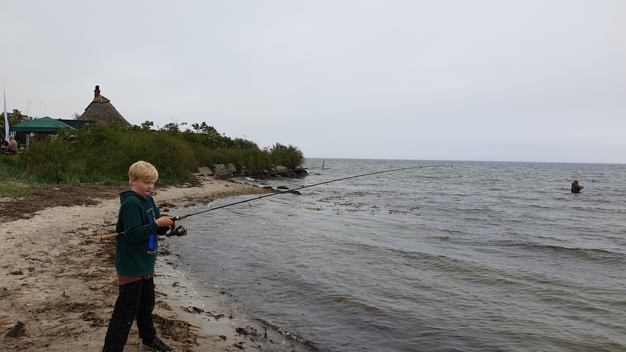 2019-05-19 14.57.46.jpg (1)