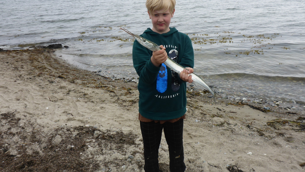 Lystfiskeriets dag 2019 (19).JPG