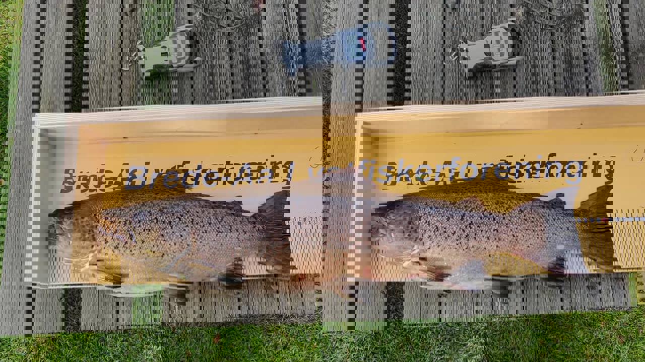 70699150 948249785515683 3911419191684497408 O