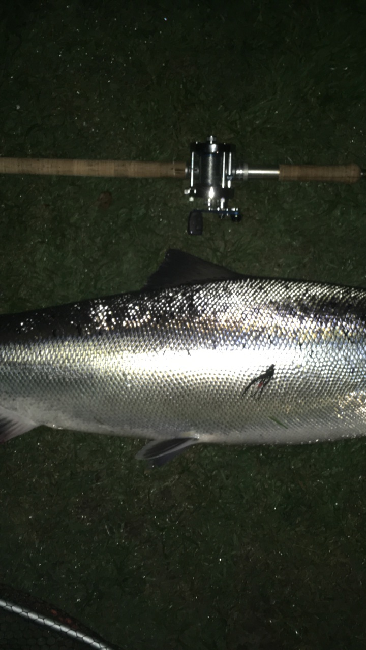 Simon Rømer blanklaks fra Mørreum 12,4 kg. 22, maj 2019 (1)