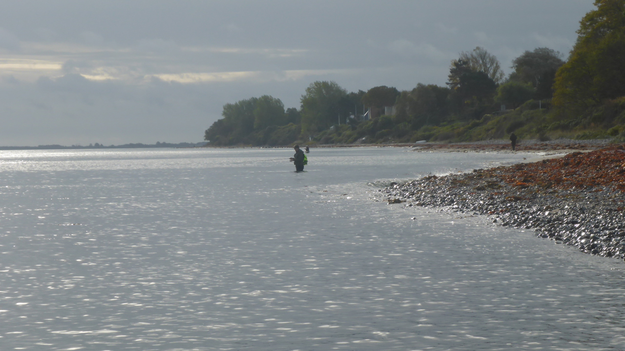Kysttur Grønnehave 2019 (3)