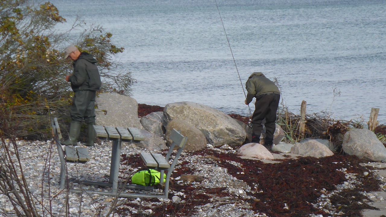 Kysttur Grønnehave 2019 (6)