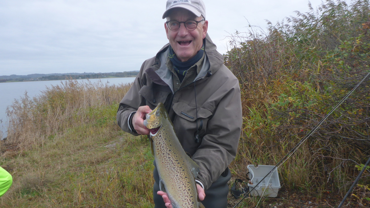 Helnæsbugften November 2019 (6)