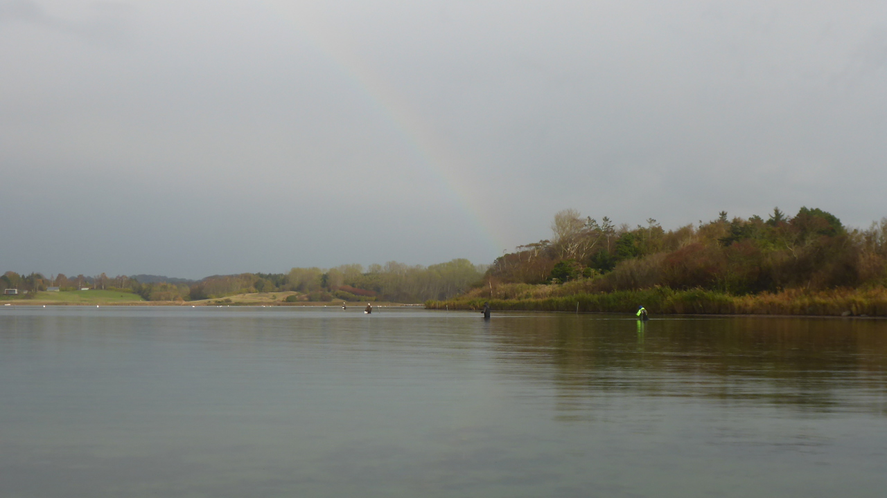 Helnæsbugften November 2019 (21)