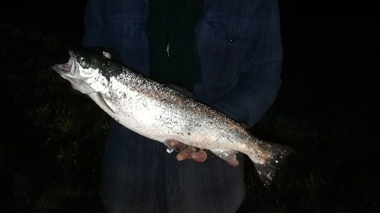 2019,11,09 Per Clausen med havørrd på 1,6 kg.
