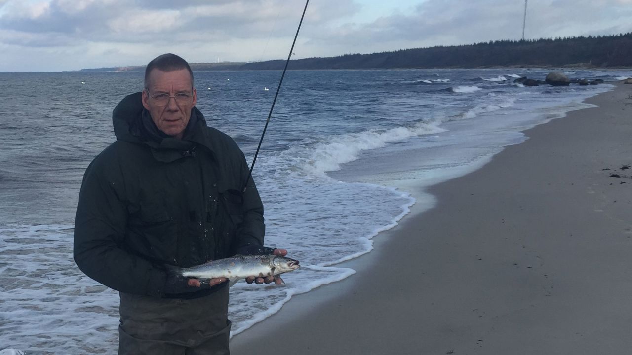 2019,11,11 Tonny Nilson med Havørred på 44 cm. og 1 kg.