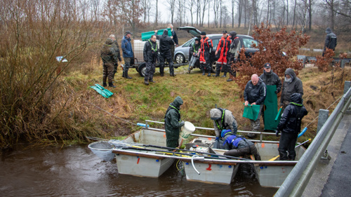 Fisk afhentes ved Utoft bro, fiskerikontrollen tjekker at alt som det skal være.