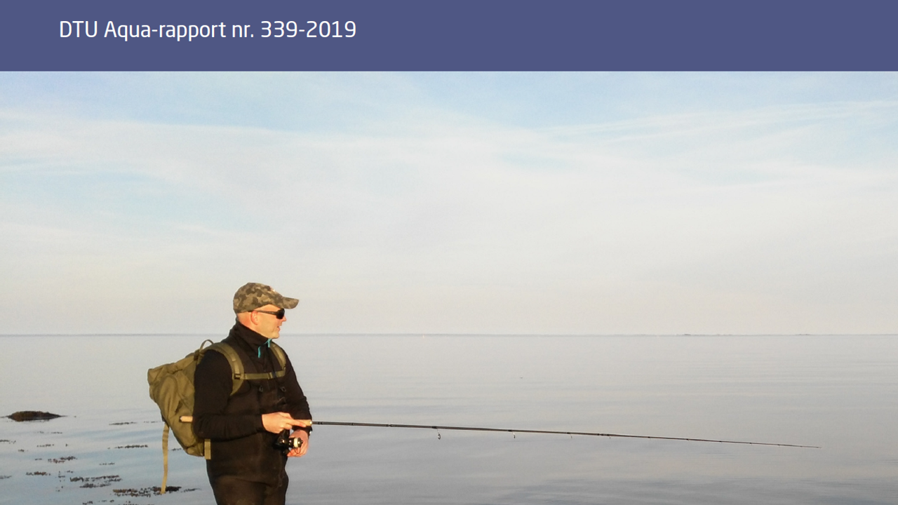 Nøglerapport 2019