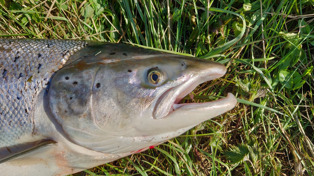 IMG 20190416 163856 01