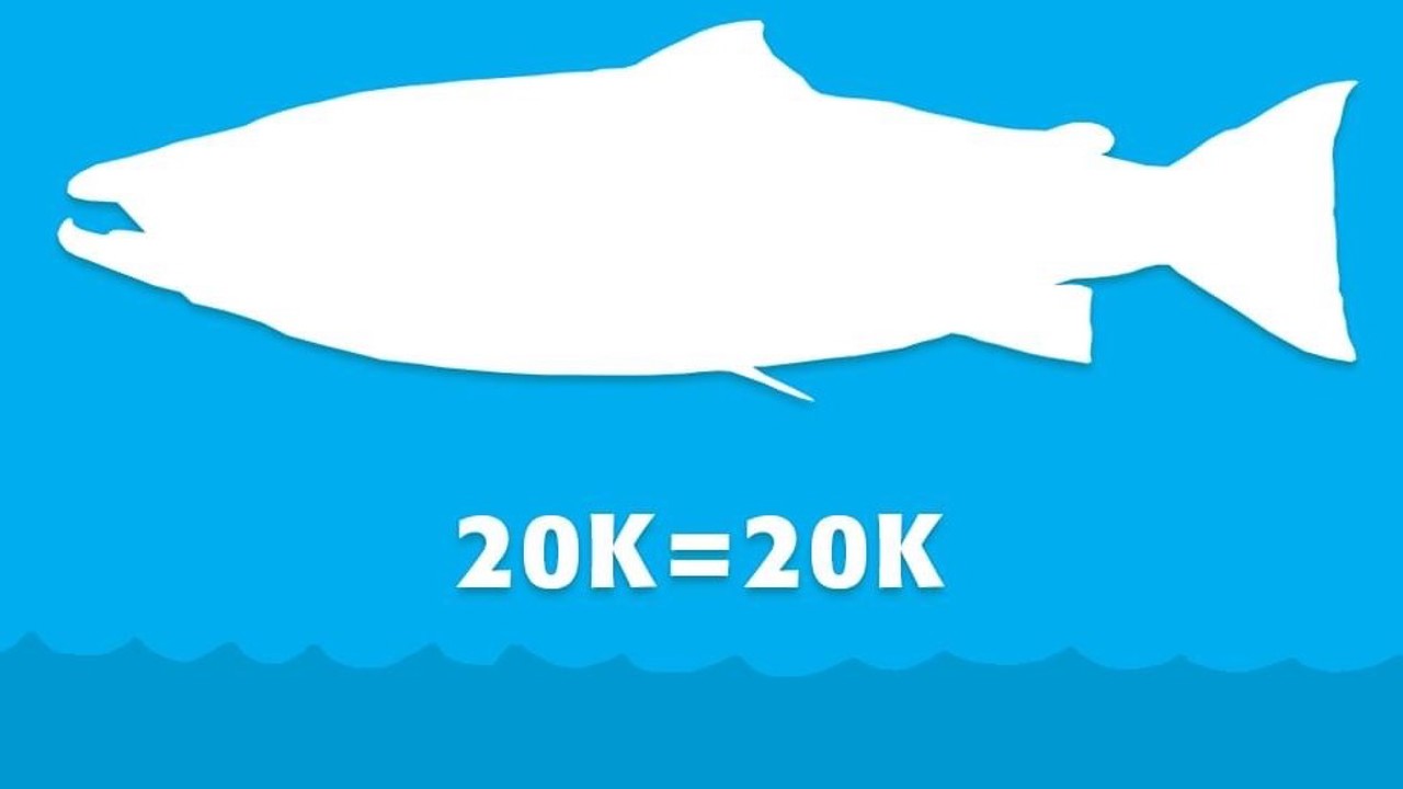 Korsholm 20 K Fisk