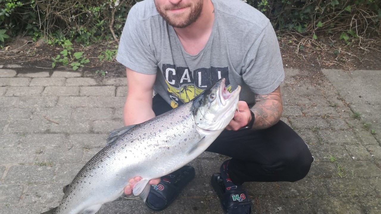 Store Fisk Derhjemme Thomas Olsen 25 05 2020