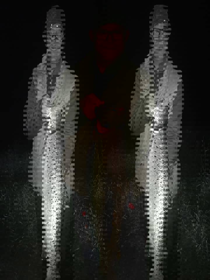 Morten Bertelsen 70 - 4,4 2020 06 08