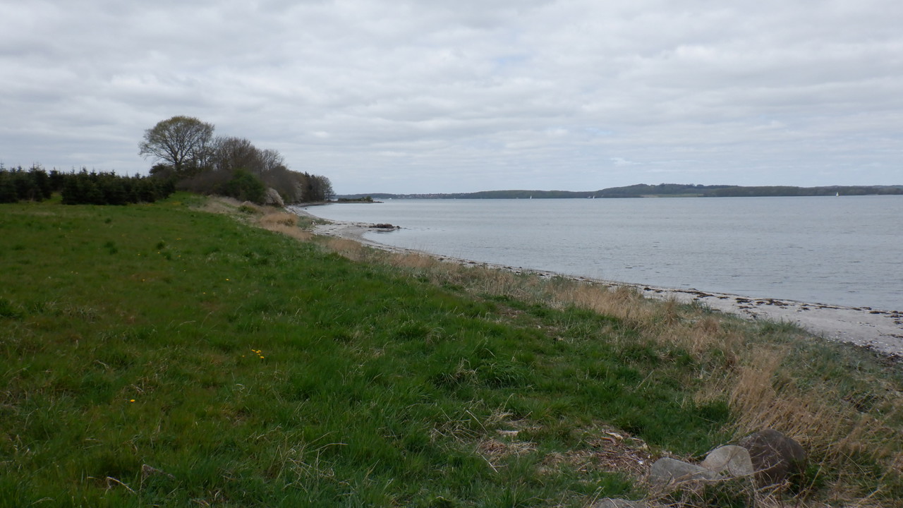 DSCF0141