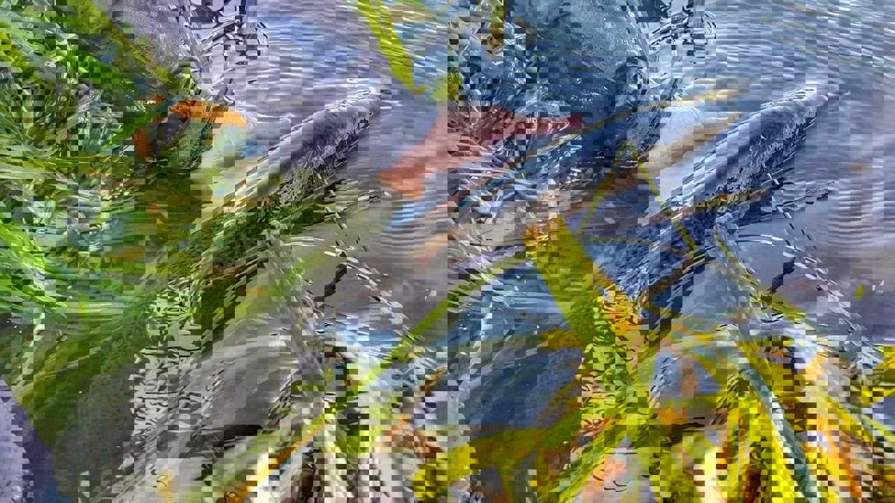 Received 367611800689462 (1)