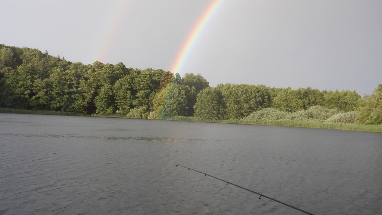 DSCF0309