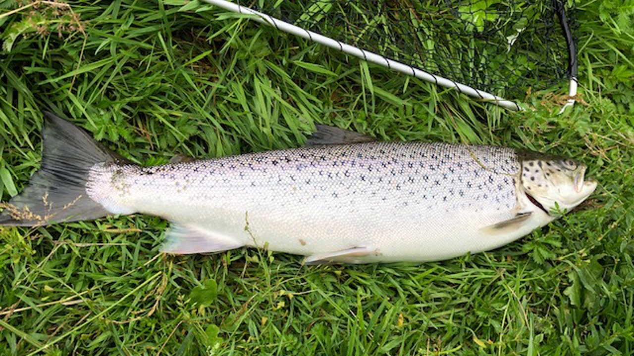 Lars Berg 58 1,9 2020 07 07