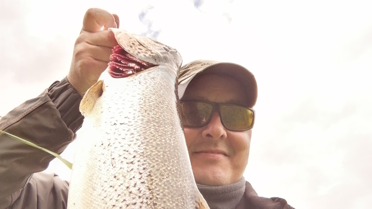 Brian Klinge 71 4,2 2020 07 08