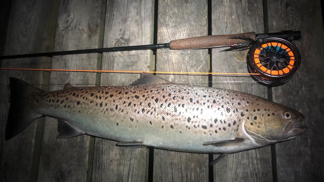 Simon Neumärker 65 3,3 2020 07 12.