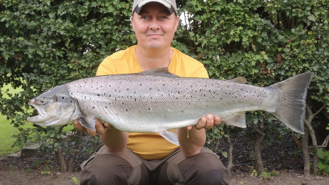 Brian Klinge 78 5,3 2020 07 19