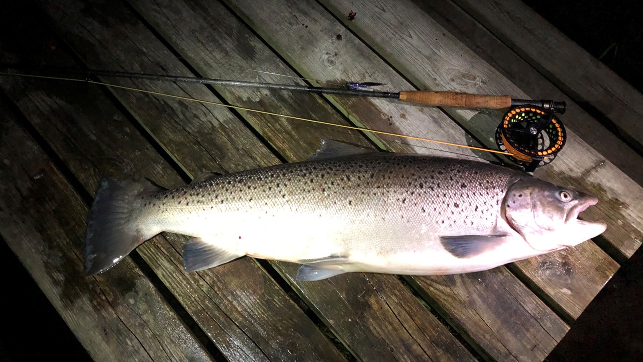 Casper Frederiksen 75 5,0 2020 08 07...J...Peg