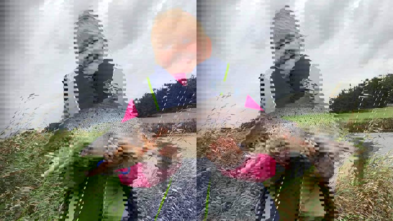 119448886 1241906056150053 5354134712111557135 N