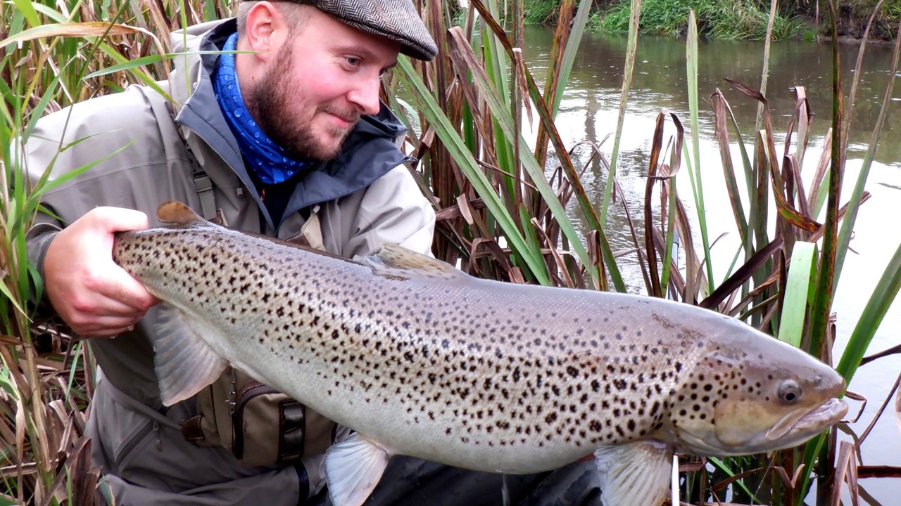 Daniel Brodersen 81 Cm 2020 09 26 Smuk Dame På 81Jpg